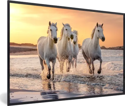 Produktbild von MuchoWow® MuchoWow® Gerahmtes Poster Pferde - Sonne - Meer - Strand - Tiere 60x40 cm - Poster mit zchwarzem Bilderrahmen - Printing - Wanddeko Schlafzimmer