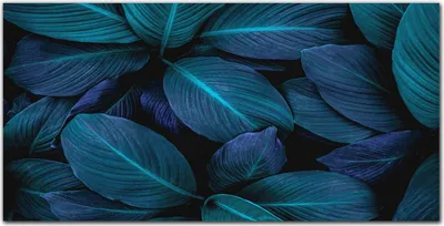 Produktbild von Coloray Bild aus Leinwand 140x70 Leinwand Dekoration - Blume Pflanze