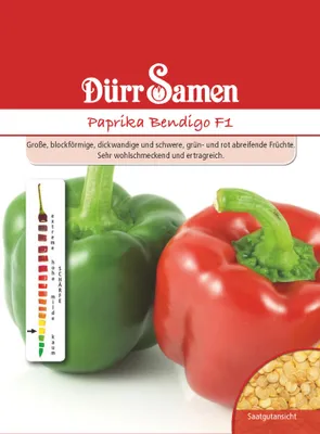 Produktbild von Dürr-Samen - Paprika Bendigo F1 - Saatgut - 1086