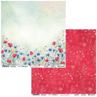 Zdjęcie produktu dla Papier do scrapbookingu 30x30 - ScrapAndMe - Summer Meadow 05/06