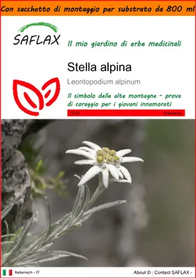 Immagine prodotto di SAFLAX Garden in the bag - Stella alpina - 500 semi - Leontopodium