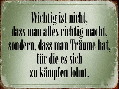 Produktbild von vianmo Holzschild 30x40 cm wichtig Träume haben und kämpfen