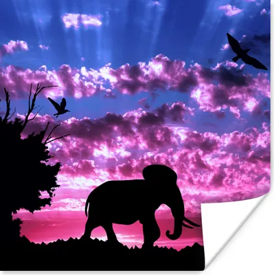 Produktbild von MuchoWow® Poster Elefant - Baum - Berg 50x50 cm - Wohnzimmerdekoration