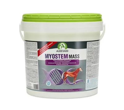 Produktbild von Audevard Myostem Mass 6 kg | für den Muskelaufbau bei Pferden | Training, Alter & Wachstum