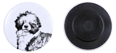Obrázek produktu pro Art-Dog Magnet – Portugalský vodní pes