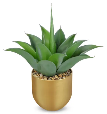 Immagine prodotto di Pianta di agave artificiale, altezza 33 cm, in vaso dorato - Succulenta decorativa