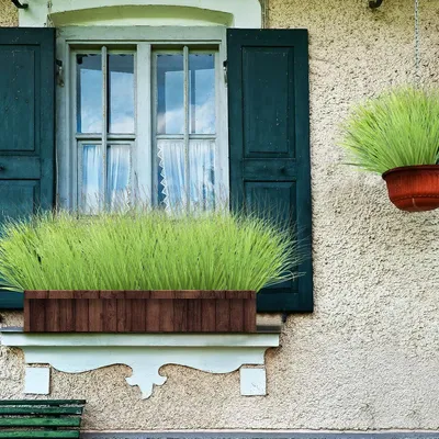Produktbild von Set von 12 Kunstpflanzen - Echtes Kunstgras für Innen und Außen
