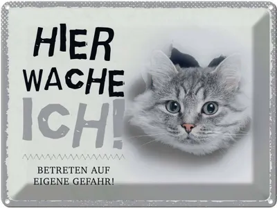 Produktbild von vianmo Blechschild 30x40 cm Katze hier wache eigene Gefahr Tier Haustier