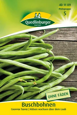 Produktbild von Buschbohne Cropper Teepee | Buschbohnensamen von Quedlinburger
