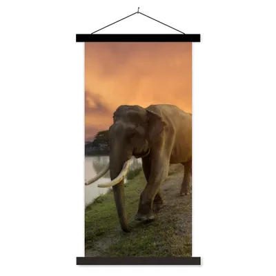 Produktbild von MuchoWow® Textilposter Elefant - Wasser - Tiere - Sonnenuntergang - Natur 90x180 cm mit schwarzem Rahmen - Dekoration Wohnzimmer