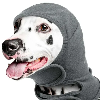 Produktbild von Gehörschutz für Hunde mit Kapuze