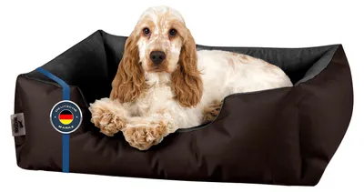 Produktbild von BedDog Hundebett LUPI Hundesofa Hundekissen waschbar,MOCCA (braun/schwarz),(S) ca. 55x40x17cm