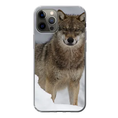 Produktbild von MuchoWow® Handyhülle Schutzhülle Hülle für iPhone 12 Pro Wolf - Schnee - Tiere Silikon Softcase Handy Hülle - Abdeckung