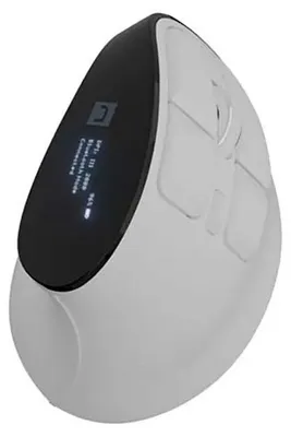 Image de natec WIRELESS MOUSE EUPHONIE PRO SILENT - Maus