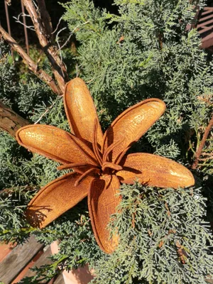 Produktbild von Edelrost Blume Lilie Edelrost Blume Lilie - 18 cm