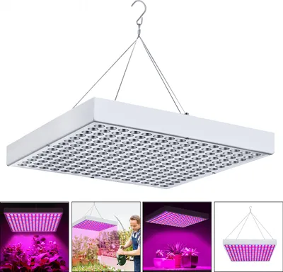 Image de NAIZY LED Lampe pour plantes 45W Lampe pour plantes 225 LED Lumière pour plantes avec 1,5m de câble Lumière rouge et bleue pour serre Lampe de croissance