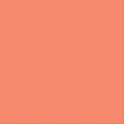 Produktbild von folia Tonpapier 130g A4 100 Blatt lachs