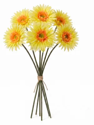 Produktbild von Künstliche Chrysanthemen mit Stiel 12x54cm 6 Stück Gelb