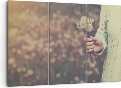 Produktbild von Bild auf Leinwand - Leinwandbild - Baby Sommer Pflanze - 105x70cm - Wand Bild - Wanddeko - Leinwanddruck - Bilder - Kunstdruck - Wanddekoration - Leinwand bilder - Wandkunst - CE105x70-3738