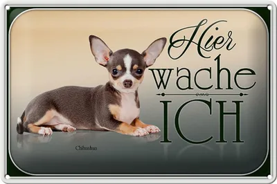 Produktbild von Blechschild Hund 30x20cm Welsh Corgi hier wache ich
