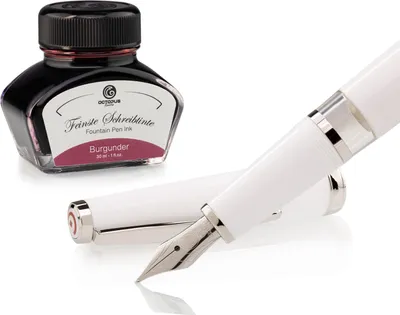 Immagine prodotto di Set penna stilografica Cleo Skribent Classic Palladium Bianco, penna stilografica a stantuffo e 30 ml di inchiostro bordeaux