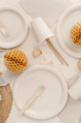 Immagine prodotto di Portatovaglioli da tavolo in plastica effetto cromato