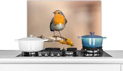 Produktbild von KitchenYeah®  Spritzschutz Küche - Küchenrückwand - Wandschutz für Herd und Spüle - Rotkehlchen - Vogel - Zweig - Tiere 60x40 - Alu-Dibond (Alternative zum Spritzschutz aus Glas) - Hitzebeständig - He