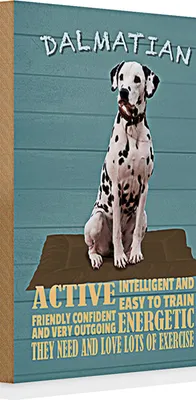 Produktbild von Holzschild Spruch 20x30cm Dalmatian Hund active and easy