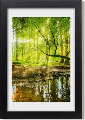 Produktbild von Bild 20x30 MDF-Rahmen, Wandkunst Stream im Wald
