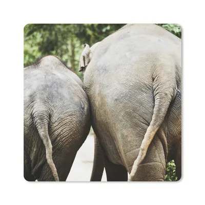 Produktbild von MuchoWow® Mauspad Mousepad Elefant - Tiere - Grau - Natur 20x20 cm - Mousepads - Maus Mat - Pad - Mausunterlage - Desk Mat - Bureauartikeln
