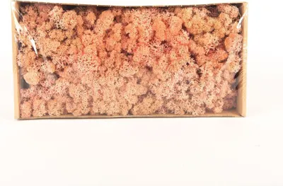 Produktbild von INNA-Glas Dekoratives Moos SVEINBJÖRN, rosa, 500g - Echtes Isländisches Moos