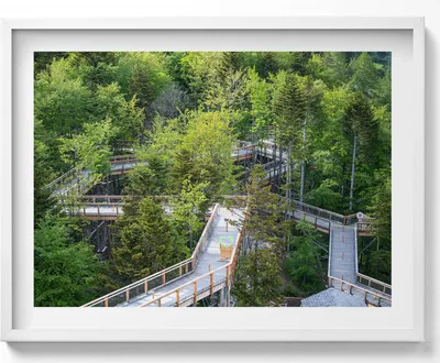 Produktbild von Ein Weg in Krynica Zdrój– Wandbild mit Rahmen – Gerahmtes Bild  – Wanddekoration – 80x60 cm –  Weiß Rahmen
