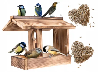 Obrázek produktu pro Ecodeco Wetterfest Vogelhaus zum Aufhängen Holz Verkohlt | Futterhaus für Vögel Hängend | Kompakte Futterhäuschen 23x21x19 cm | Vogelhaus mit Aufhängeschnur für Balkon oder Garten
