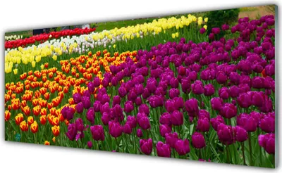 Produktbild von Acrylglasbilder 125x50 Wandbild Druck Tulpen Pflanzen