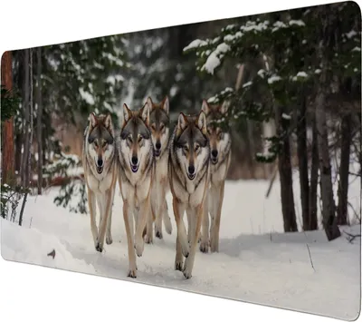 Produktbild von Wölfe im Winterwald Schreibtischunterlage 69x31cm XXL Mauspad für Naturliebhaber