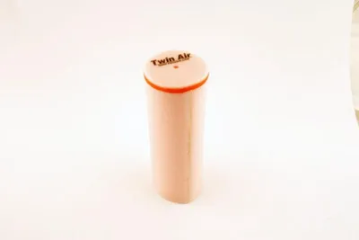 Immagine prodotto di Filtro aria TWIN AIR - 152903