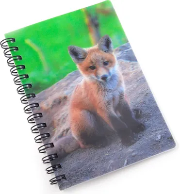 Produktbild von 3D Notizbuch - Fuchswelpe - klein