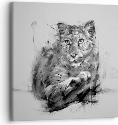 Produktbild von Bild auf Leinwand - Leinwandbild - Tier Abstraktion - 40x40cm - Wand Bild - Wanddeko - Wandbilder - Leinwanddruck - Bilder - Kunstdruck - Wanddekoration - Leinwand bilder - Wandkunst - AC40x40-3850