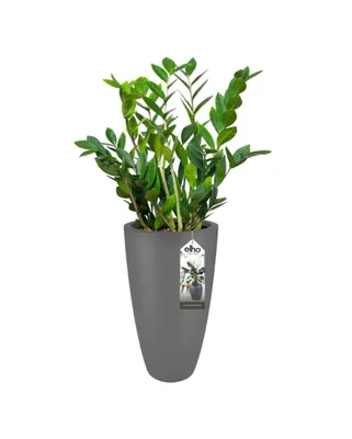 Obrázek produktu pro ELHO Obal Pure Soft High průměr 35 cm, výška 62 cm, antracit