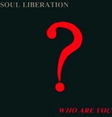 Produktbild von Who Are You?