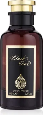 Obrázek produktu pro House of Perfumes Black Oud EDP 100 ml UNISEX