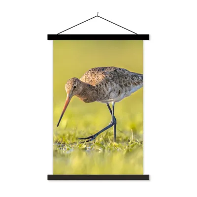 Produktbild von MuchoWow® Textilposter Vögel - Gras - Landschaft - Uferschnepfe 40x60 cm mit schwarzem Rahmen - Wanddekorationen