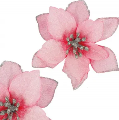 Immagine prodotto di Stella di Natale con clip 12,5 cm rosa, decorazione natalizia
