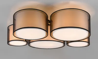 Obrázek produktu pro Stropní svítidlo Trio Burton E27 5cestné černé matné