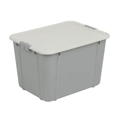 Obrázok produktu pre Úložný box Plastový úložný box s vekom BRANQ VELUR 30 L