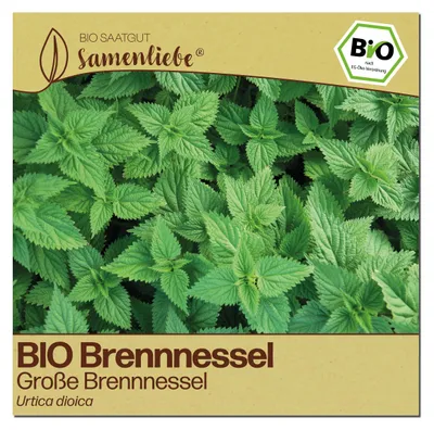 Produktbild von Samenliebe  Brennnessel Samen | Große Brennnessel - winterhart & mehrjährig - samenfestes  Saatgut