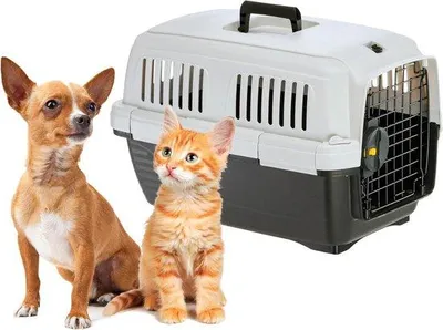 Image de Sacs de transport pour chiens et chats - poids maximal : 5 kg - 50 x 33 x 32 cm - adaptés aux petits animaux de compagnie