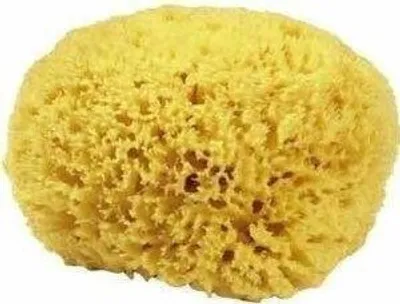 Produktbild von Naturschwamm P130 Premium, ca. 13 cm