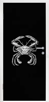 Obrázek produktu pro MuchoWow® Plakát na dveře - Ernst Haeckel - Krab - Staří mistři - Vintage - Zvířata - Umění - 205x75 cm - Samolepicí fólie na dveře