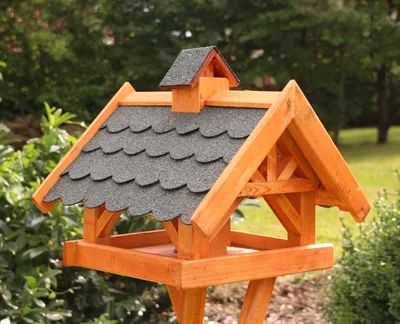 Produktbild von Maxi Vogelhaus, Vogelhäuser behandelt grün Typ 34